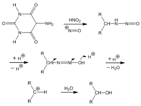 what is the mechanism of murexide test|On the Mechanism of the Murexide Reaction.